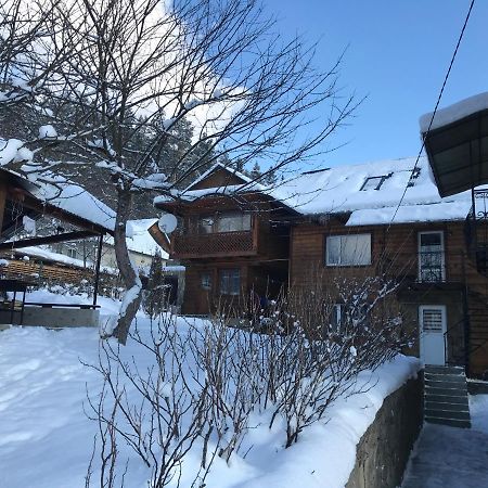 Villa Під Лісом У Гіда Yaremche Exterior foto