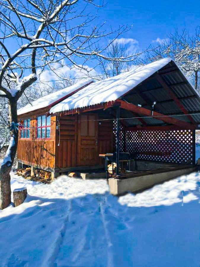Villa Під Лісом У Гіда Yaremche Exterior foto
